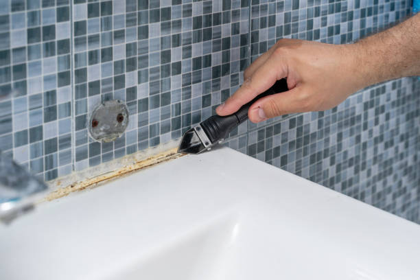 Best Residential Mold Remediation in Port Byron, NY